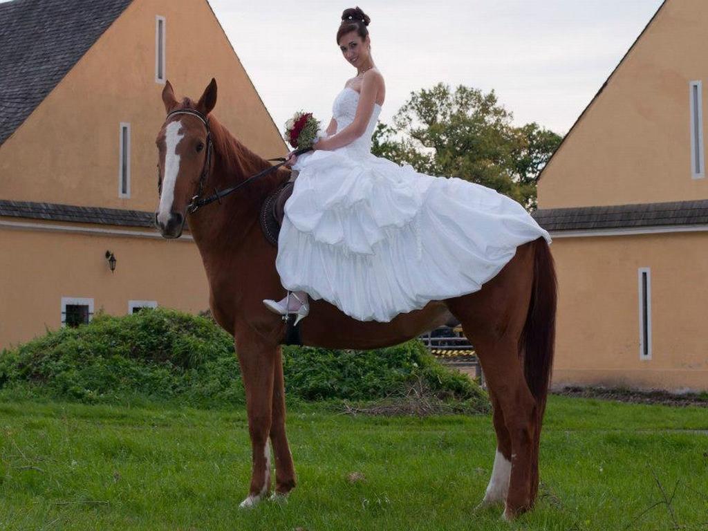 Dvur Olsiny -Hotel And Horse-Riding Karviná 외부 사진