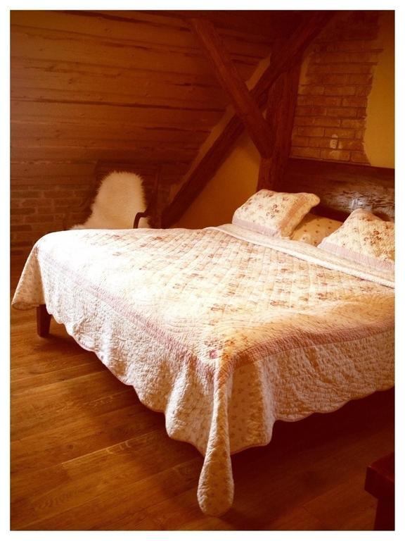 Dvur Olsiny -Hotel And Horse-Riding Karviná 객실 사진